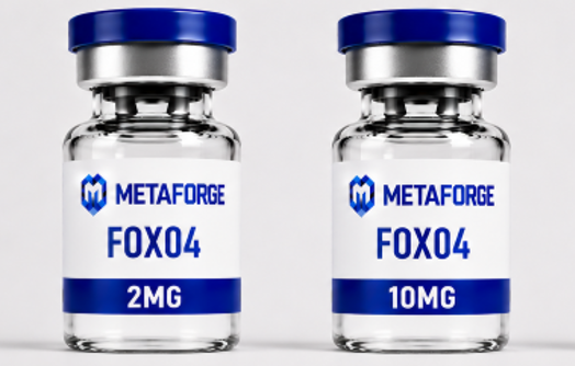 FOX04